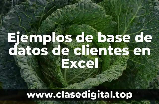 Ejemplos de base de datos de clientes en Excel