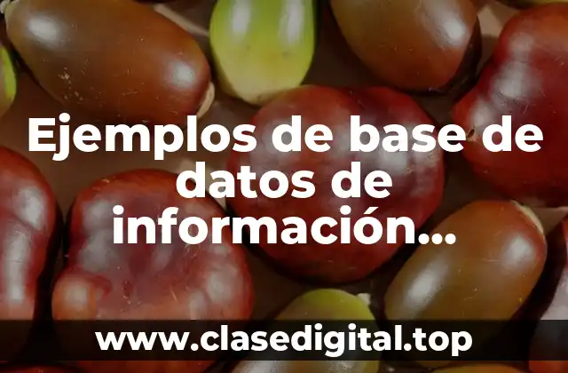 Ejemplos de base de datos de información financiera