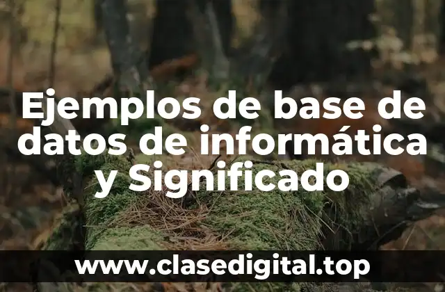 Ejemplos de base de datos de informática y Significado