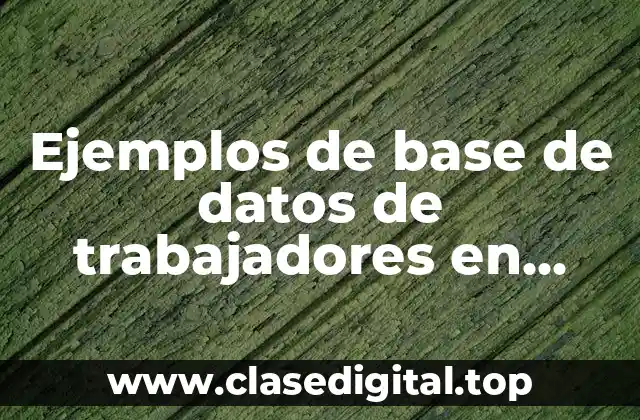 Ejemplos de base de datos de trabajadores en Excel y Significado