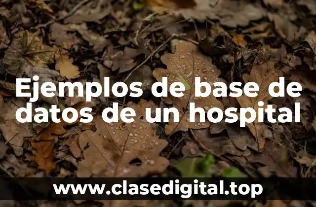Ejemplos de base de datos de un hospital