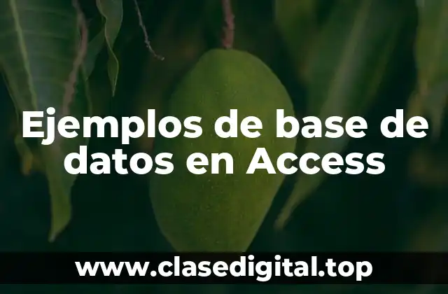 Ejemplos de base de datos en Access
