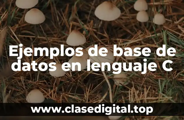 Ejemplos de base de datos en lenguaje C