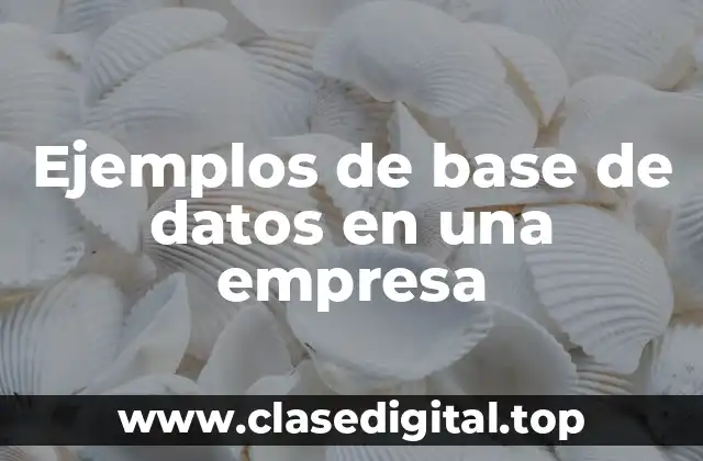 Ejemplos de base de datos en una empresa