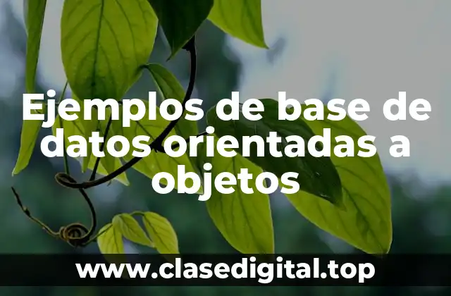 Ejemplos de base de datos orientadas a objetos