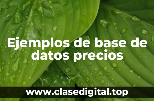 Ejemplos de base de datos precios