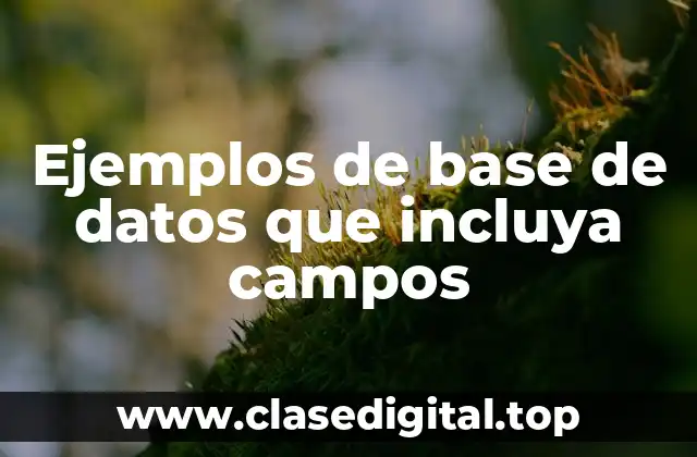 Ejemplos de base de datos que incluya campos