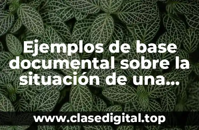 Ejemplos de base documental sobre la situación de una empresa