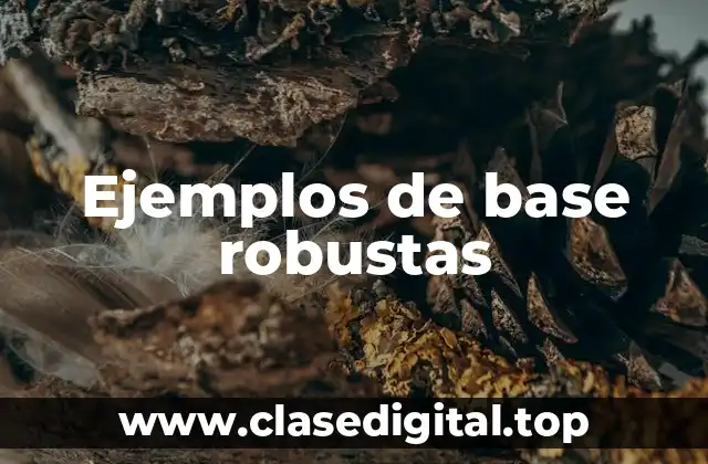Ejemplos de base robustas