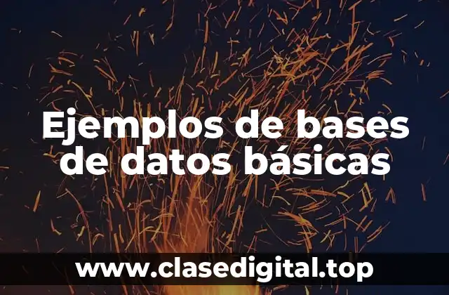 Ejemplos de bases de datos básicas