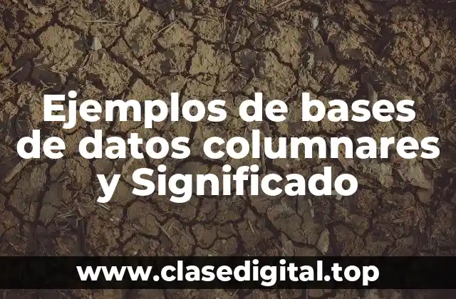 Ejemplos de bases de datos columnares y Significado