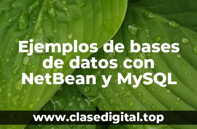 Ejemplos de bases de datos con NetBean y MySQL