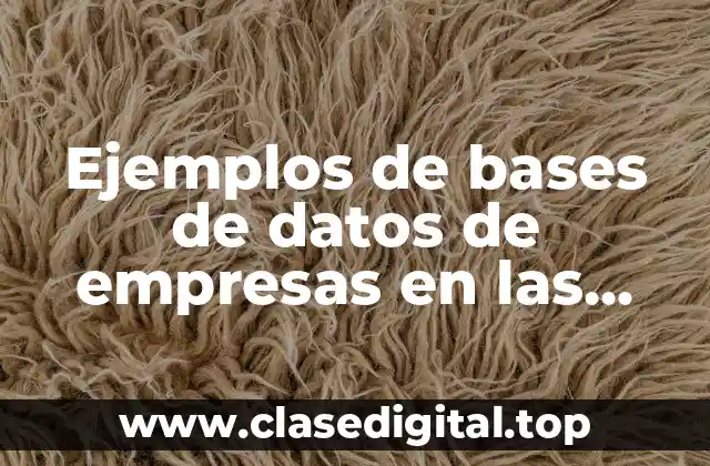 Ejemplos de bases de datos de empresas en las finanzas