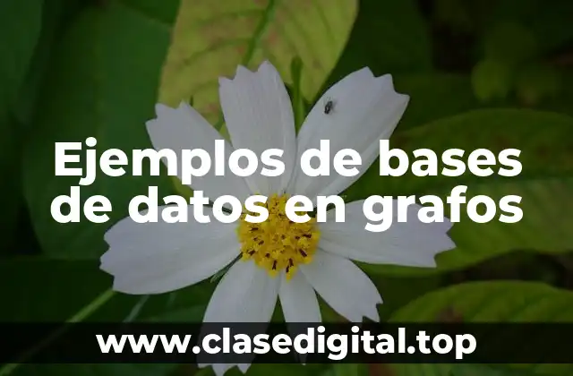 Ejemplos de bases de datos en grafos