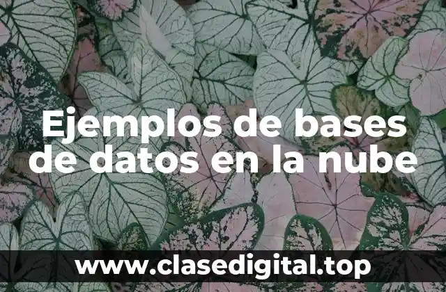 Ejemplos de bases de datos en la nube