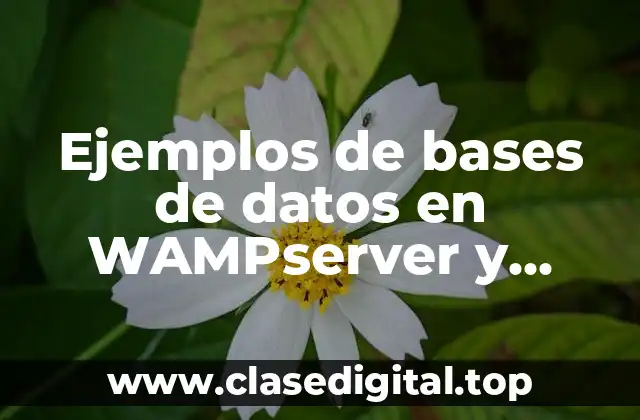 Ejemplos de bases de datos en WAMPserver y Significado