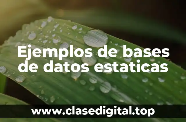 Ejemplos de bases de datos estaticas