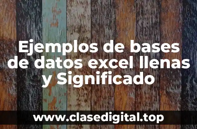 Ejemplos de bases de datos excel llenas y Significado