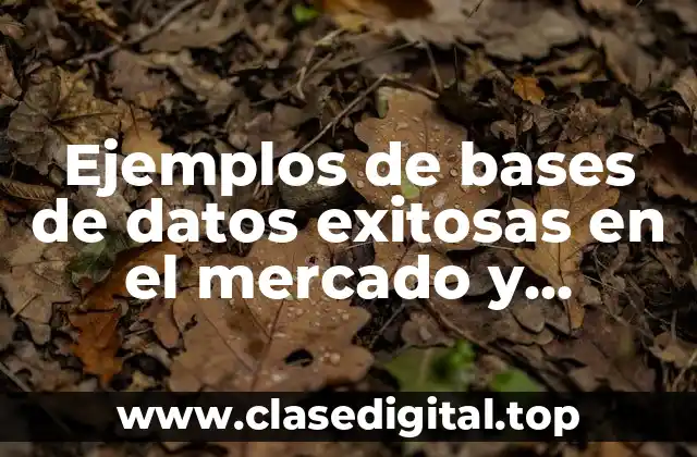Ejemplos de bases de datos exitosas en el mercado y Significado