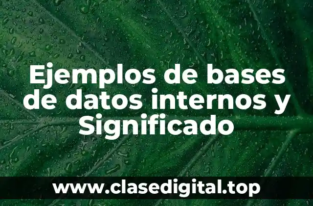 Ejemplos de bases de datos internas