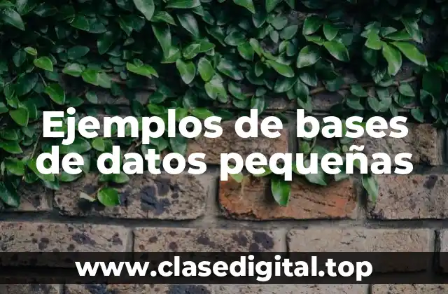 Ejemplos de bases de datos pequeñas
