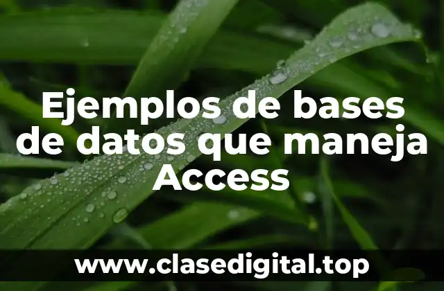 Ejemplos de bases de datos que maneja Access