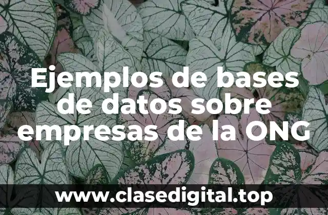 Ejemplos de bases de datos sobre empresas de la ONG