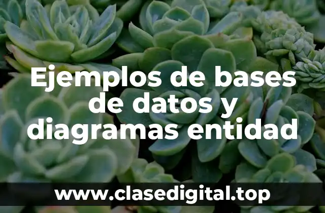 Ejemplos de bases de datos y diagramas entidad