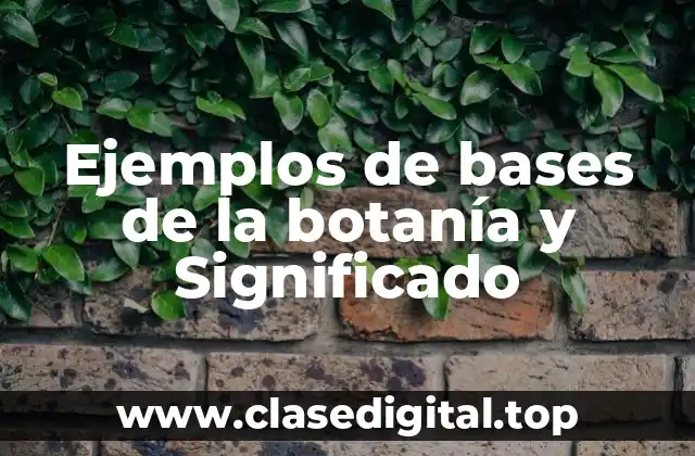 Ejemplos de bases de la botanía y Significado