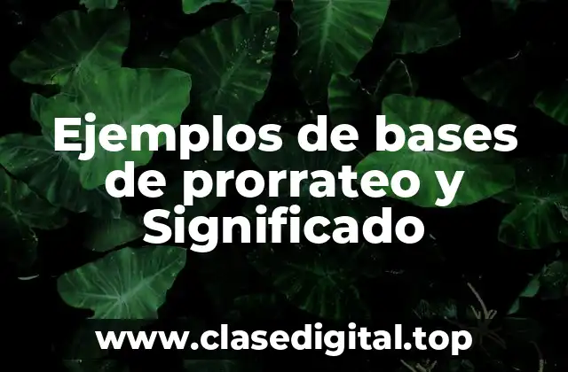 Ejemplos de bases de prorrateo y Significado