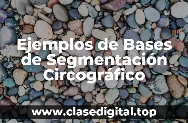 Ejemplos de Bases de Segmentación Circográfico