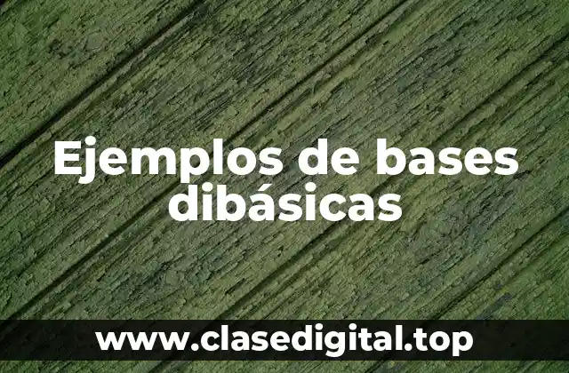 Ejemplos de bases dibásicas