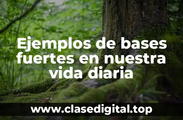 Ejemplos de bases fuertes en nuestra vida diaria