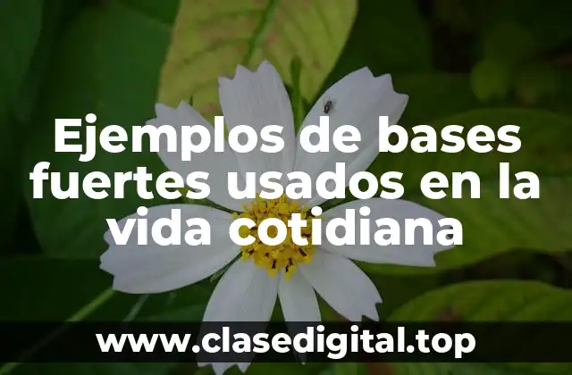 Ejemplos de bases fuertes