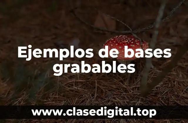 Ejemplos de bases grabables