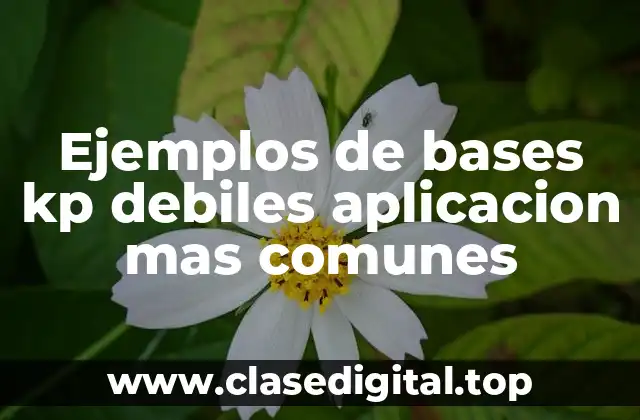 Ejemplos de bases kp debiles aplicacion mas comunes