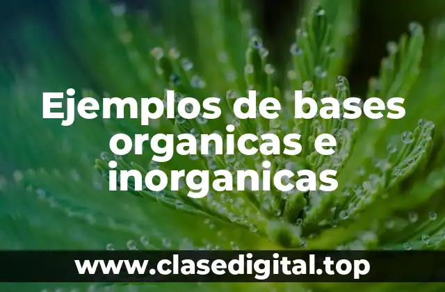 Ejemplos de bases organicas e inorganicas