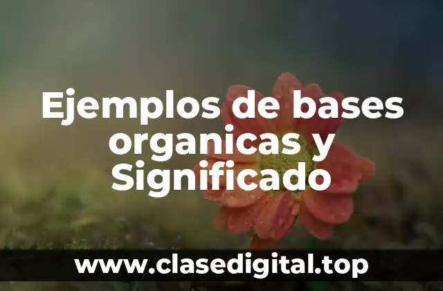 Ejemplos de bases organicas y Significado