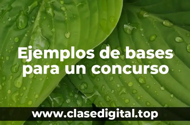 Ejemplos de bases para un concurso