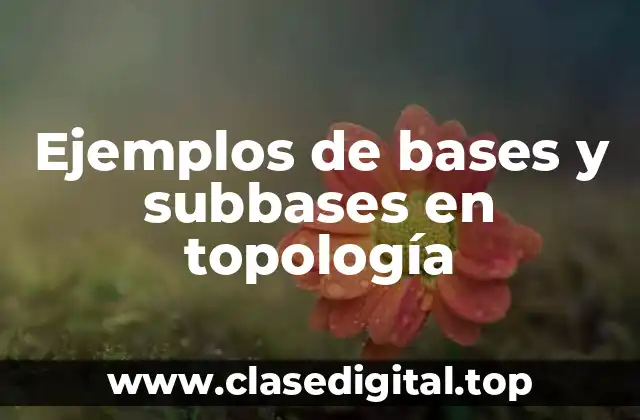 Ejemplos de bases y subbases en topología