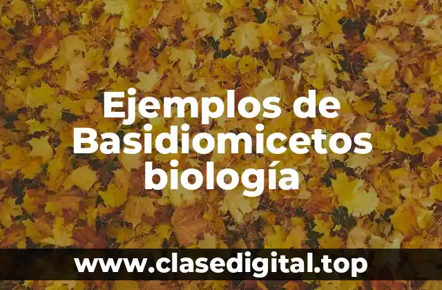 Ejemplos de Basidiomicetos