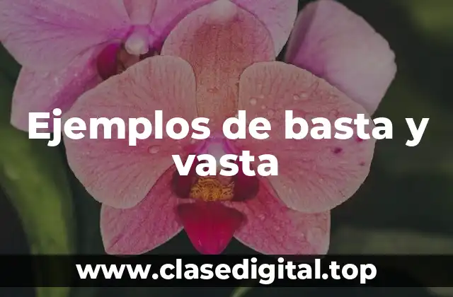 Ejemplos de basta y vasta