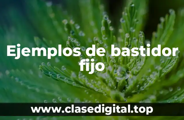 Ejemplos de bastidor fijo