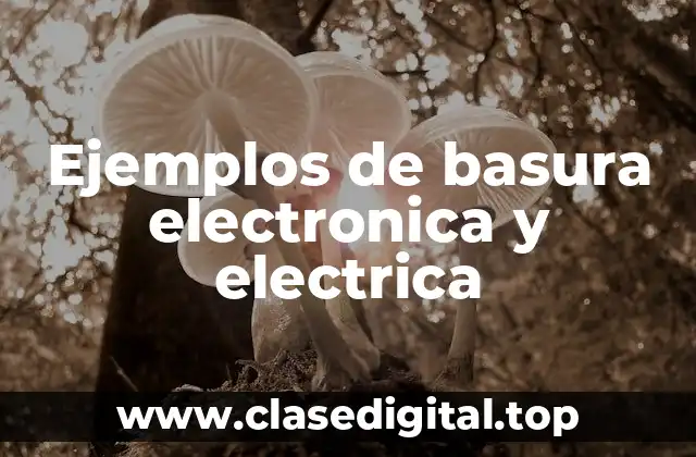 Ejemplos de basura electronica y electrica