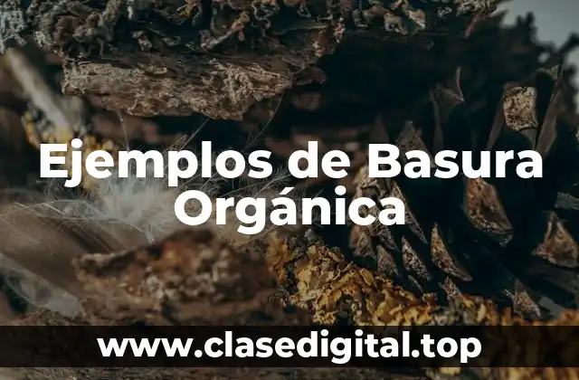Ejemplos de Basura Orgánica