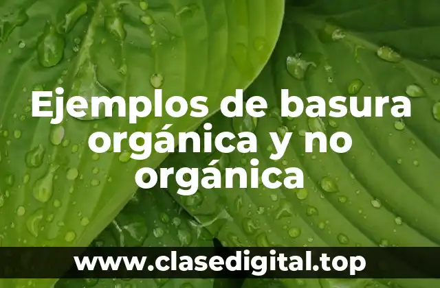 Ejemplos de basura orgánica y no orgánica