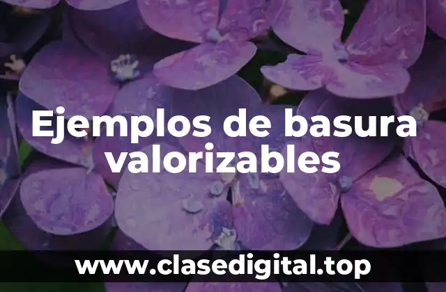Ejemplos de basura valorizables