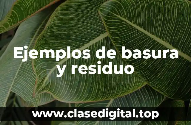 Ejemplos de basura y residuo