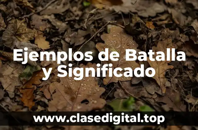 Ejemplos de Batalla