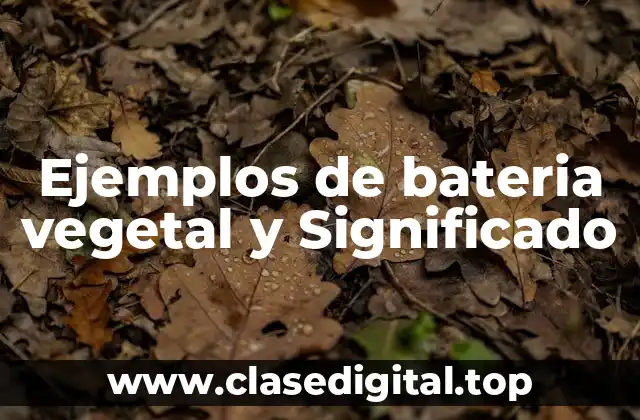Ejemplos de bateria vegetal y Significado
